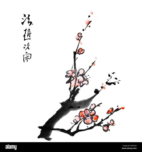 Chinese painting of plum blossom Stock Photo - Alamy