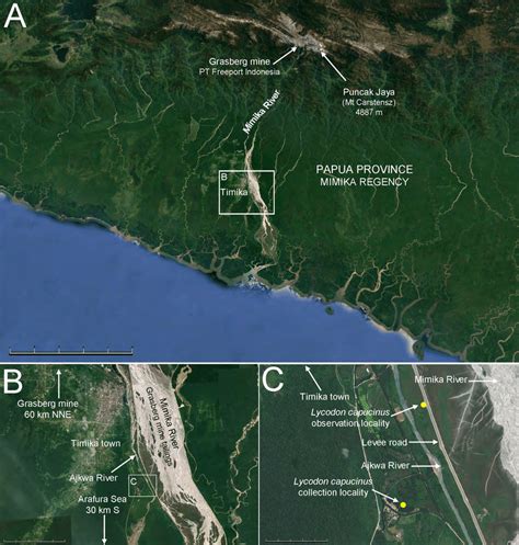 Satellite maps (derived from Google Earth) of the area in southwestern ...