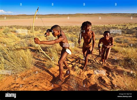 Bushmen of the San people hunting, Kalahari or Kgalagadi Transfrontier Park, North Cape, South ...
