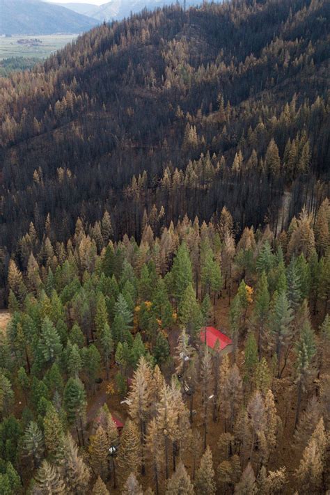 Fighting Fire With Fire in California | Science | Smithsonian Magazine