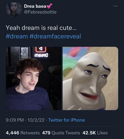 Dream Face Reveal Meme - IMAGESEE