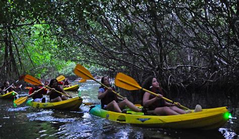 Fajardo Bioluminescent Kayaking Puerto Rico Tour | Bio Bay