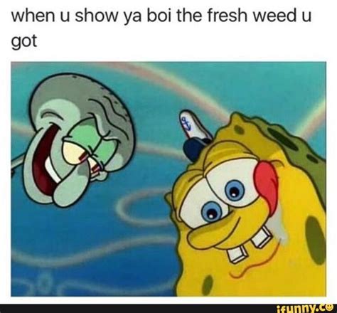 Best Weed Memes - Funny Marijuana and Pot Pics 2023