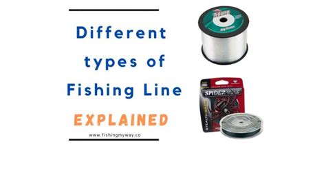 The Different Types of Fishing Line Explained | Fishing My Way