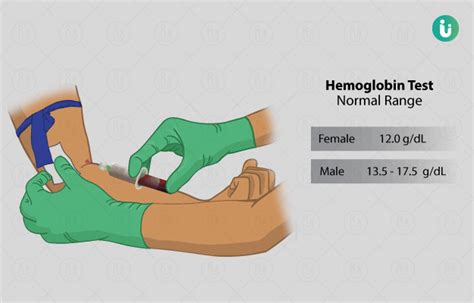 Hemoglobin Se Kya Hota Hai - andre