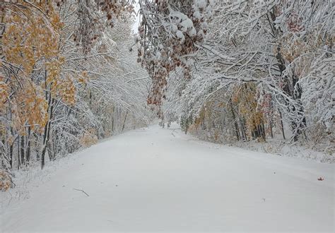 Photos: More than a foot of snow falls on Michigan’s Porcupine ...