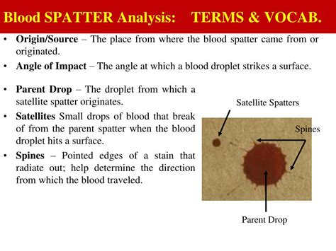 PPT - BLOOD SPATTER ANALYSIS or Blood Pattern Analysis = BPA PowerPoint ...