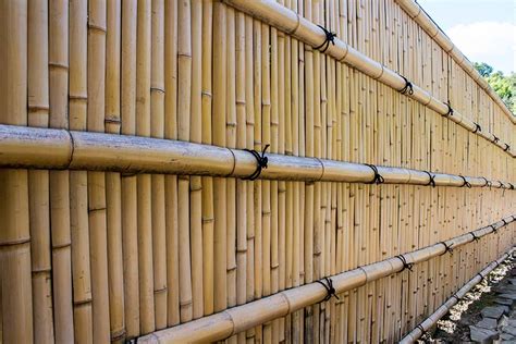 Bamboo Privacy Fence: A Comprehensive DIY Guide