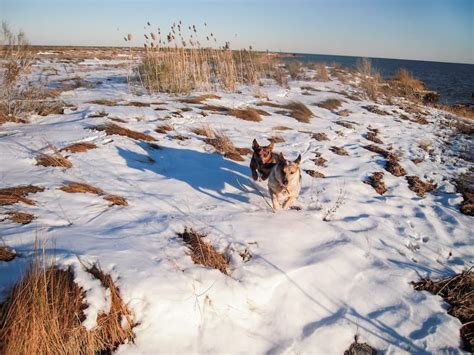 Virginia Beach in Winter: 11 Things to Do + Seasonal Tips