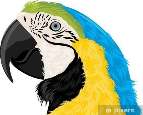 Wall Mural Parrot head - PIXERS.US