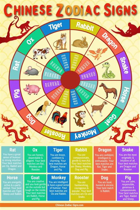 Chinese Zodiac Signs Infographic | Chinese zodiac signs, Chinese new year zodiac, Chinese calendar