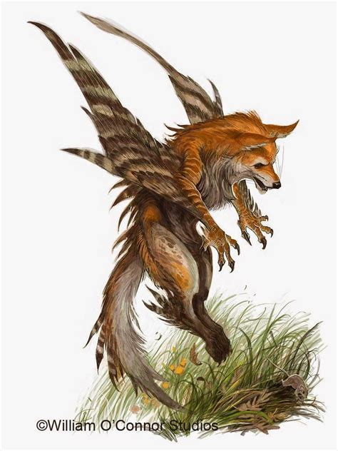 The Dracopedia Project | Mythical creatures art, Mythological creatures, Mythical creatures