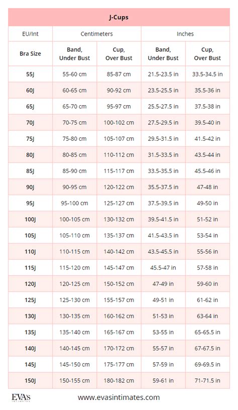 European (EU) / International (Int) Bra Sizes in Centimeters and Inches