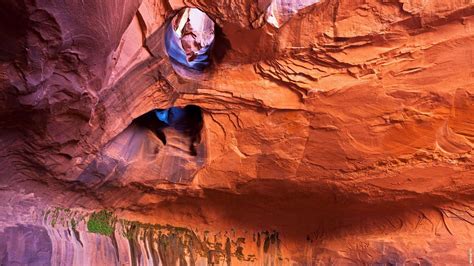 Golden Cathedral in the Canyons of the Escalante, Utah