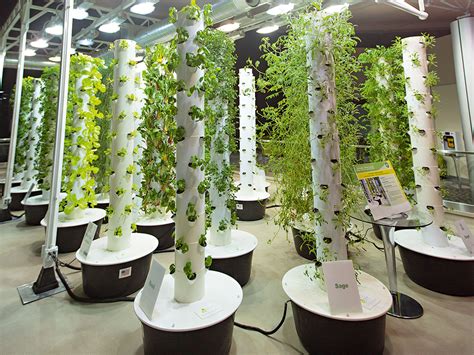 Vertical farming is going to feed us all – The New Economy