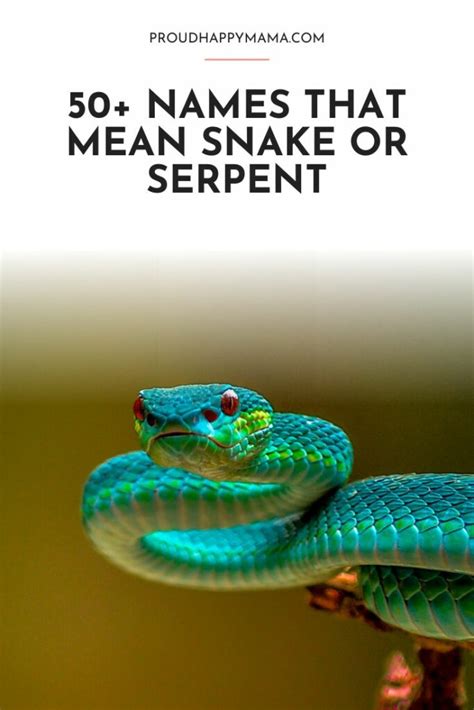 50+ Names That Mean Snake Or Serpent (Girls & Boys)