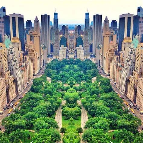 Central Park NYC | New york city central park, Central park nyc, York