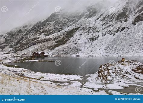 Balea Lake - Balea Lac stock photo. Image of winter - 237889318