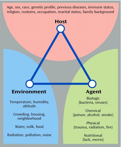 The Epidemiological Triangle: Host, Environment, and Agent