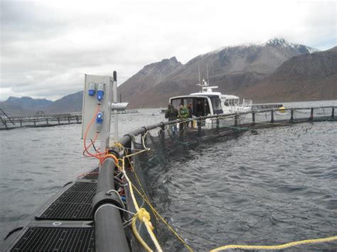 Food Politics by Marion Nestle » My quick visit to a salmon farm in Norway: a brief report