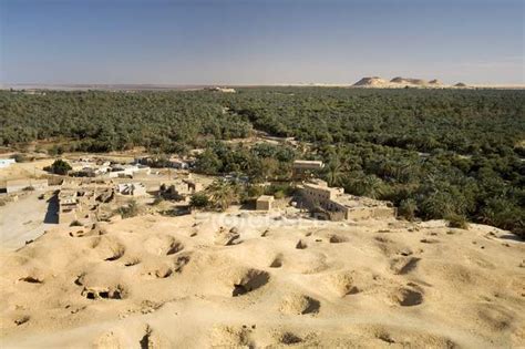 Siwa Oasis, Egypt — distance, agriculture - Stock Photo | #169001102