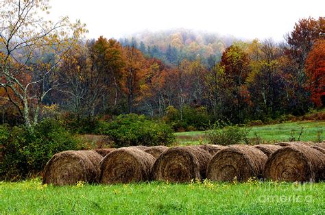 Autumn Hay Bales Photograph by Thomas R Fletcher