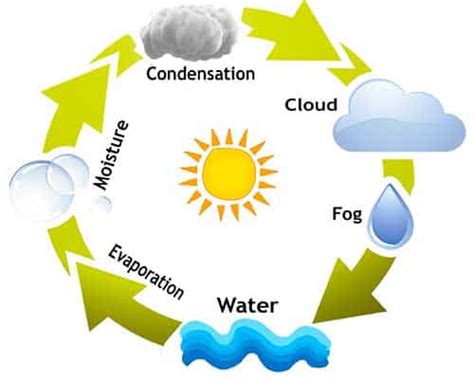 What Is Fog Made Of? (Types, Causes, Formation) - JournalHow