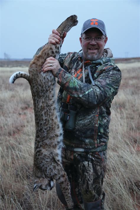 How to Hunt a Bobcat - Hunting Note