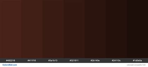 Brown Shades Color Palette | HEX Colors #482218, #411f16, #3a1b13