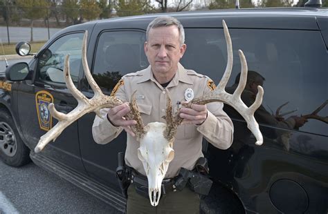 Hunter finds dead buck with massive 12-point antlers in Lancaster ...