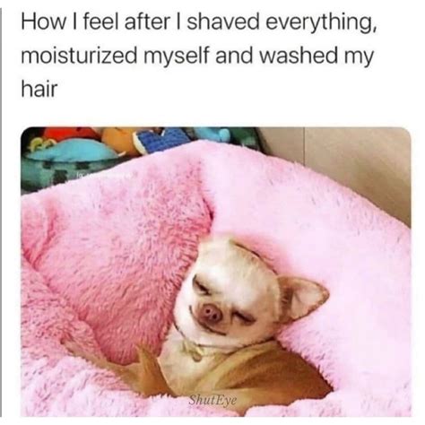 15+ Self Care Memes: A Fun Way to Prioritize Well-Being