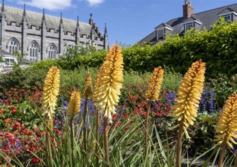 Dublin Castle from the Garden, Stock Image - Image of architecture ...