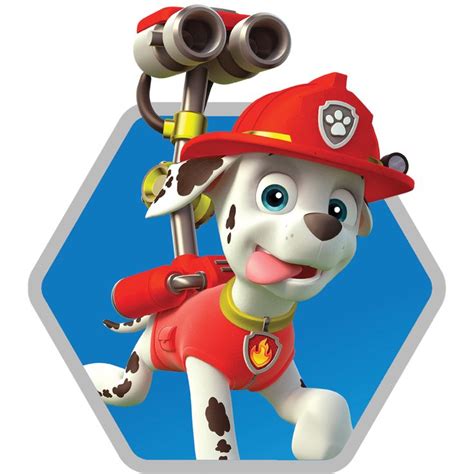 Marshall/Gallery | Paw patrol, Marshall paw patrol, Paw patrol characters