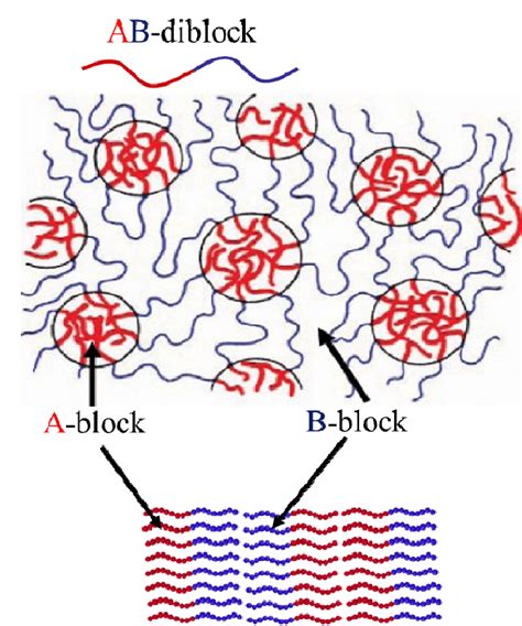 Block copolymer self-assembly | Download Scientific Diagram