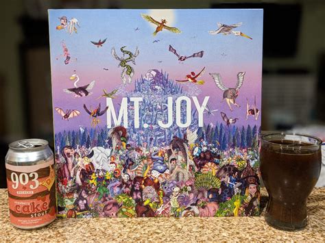 Vinyl 'n Beer - Rearrange Us by Mt. Joy - Everdayday Audiophile