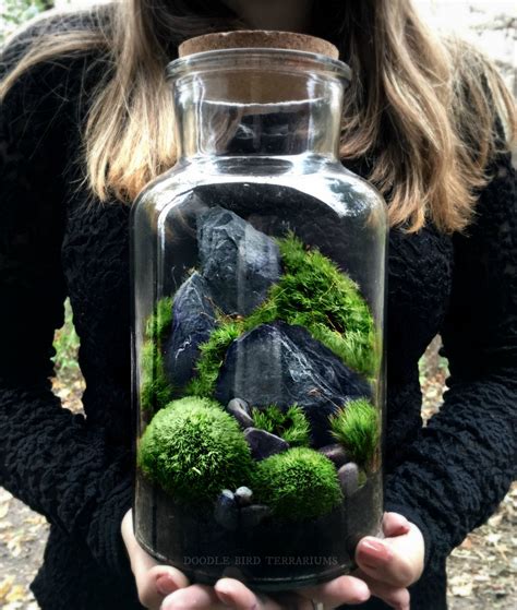 Woodland mousse et fougère Terrarium en grand bocal de verre ...