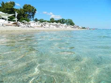 PLEASE RETURN rented of parasols - Reviews, Photos - Hanioti Beach ...