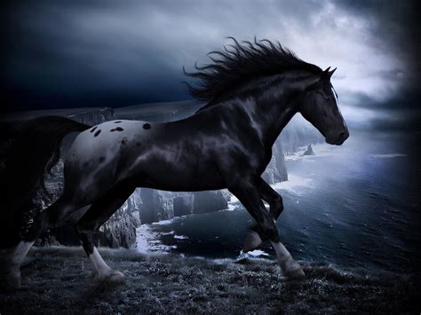 Black Horse Wallpapers - Wallpaper Cave