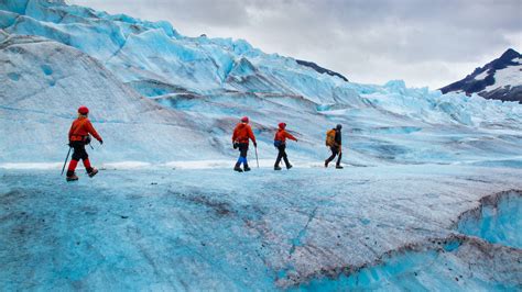 Mendenhall Glacier | , USA | Sights - Lonely Planet