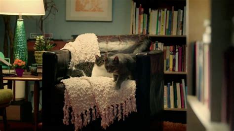 Purina Cat Chow Healthy Weight TV Commercial, 'Bookstore' - iSpot.tv