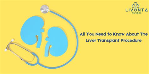 All You Need to Know About The Liver Transplant Procedure - Livonta ...