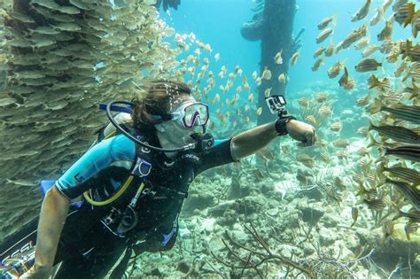 The Best Dive Site in Bonaire — Camels & Chocolate