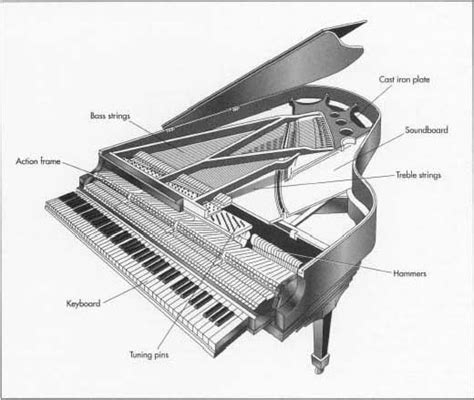 Pianos have the greatest range of any instrument and over 2,500 parts. They are considered to ...