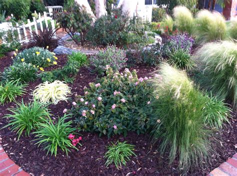 Karen's no-lawn front yard in California - FineGardening