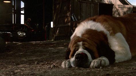 Cujo (1983) – Movie Reviews Simbasible