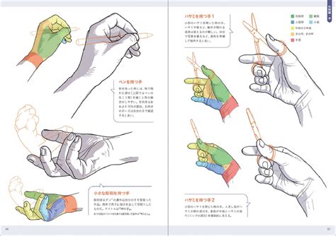 Anatomy of hand and foot