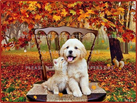 Cute Animal Autumn Wallpapers - Top Free Cute Animal Autumn Backgrounds ...