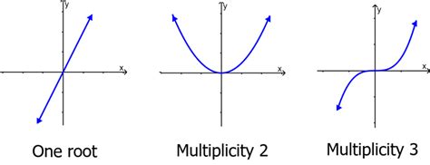 What is the multiplicity of a polynomial? - Neurochispas