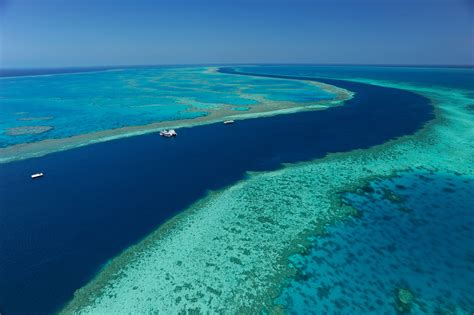 Australia pledges $58 million for Great Barrier Reef | SBS News