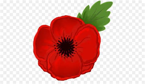 Anzac Day Poppy - Unlimited Download. cleanpng.com. | Anzac poppy ...